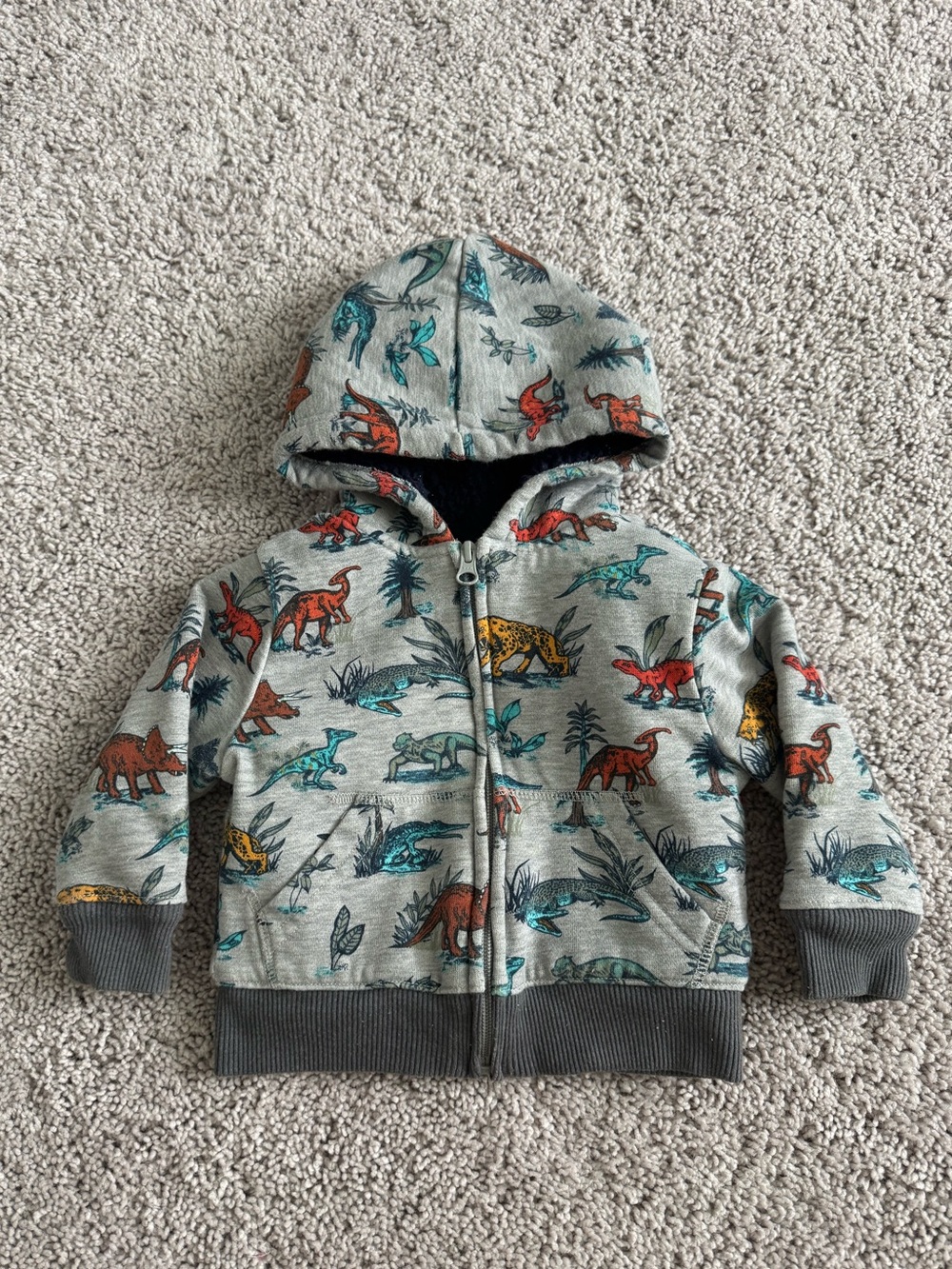 The Children's Place Boy Toddler Long Sleeve Sherpa Lined Hoodie Size 18-24M